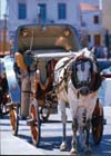 Spetses Carriage